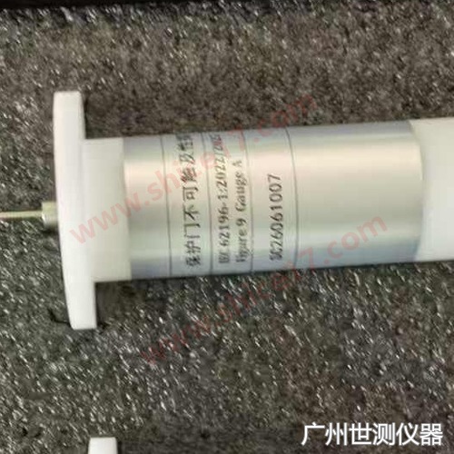 20N 保护门探针（GB/T 2099.1-2021 图9），探针钢丝 3 × 1 mm、端部倒圆 R0.2 ± 0.05 mm